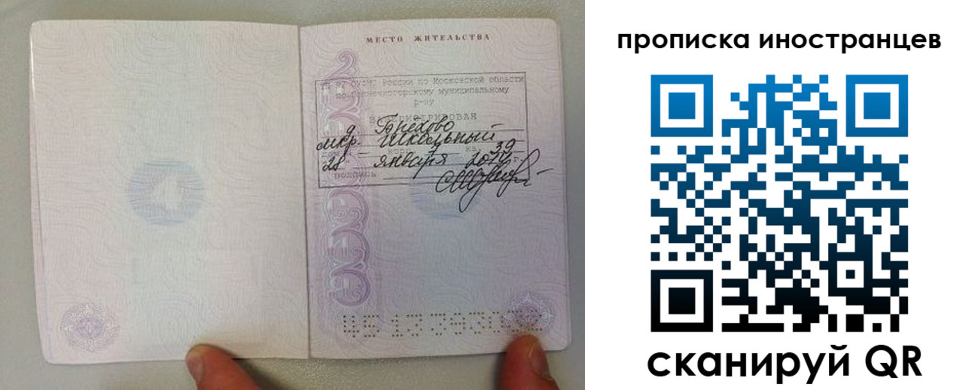 прописка поиск в Томске